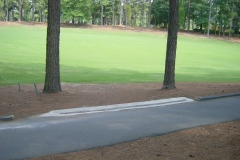 cart path channels